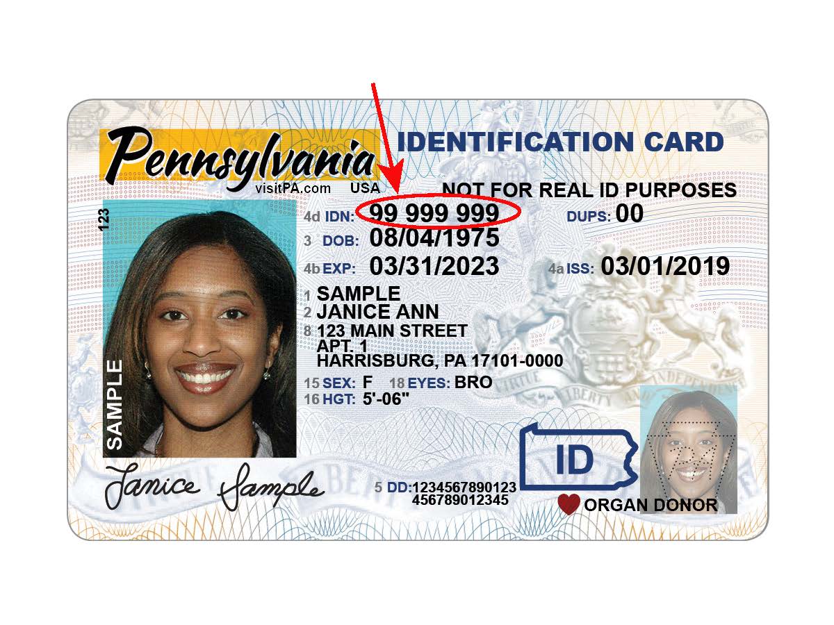 Do You Have To Have A Photo Id Driving Licence By Law Templates 